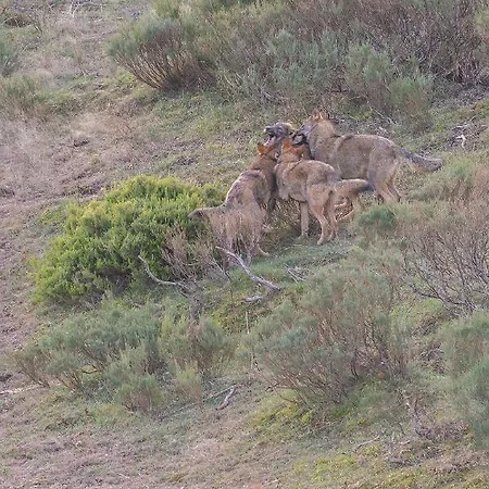 Rural El Sabinar Cremenes