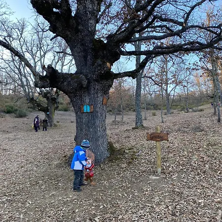 Rural El Sabinar 3* Cremenes